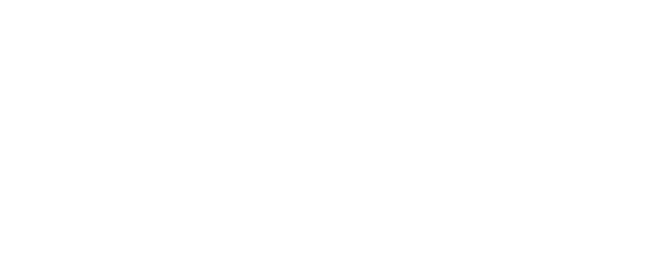 Logo secundario 2